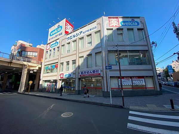 エンデュランス松戸 ｜千葉県松戸市松戸(賃貸マンション1R・5階・27.71㎡)の写真 その23