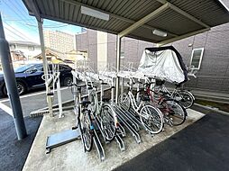 Ｃｒｅｓｔ　Ｍａｂａｓｈｉ