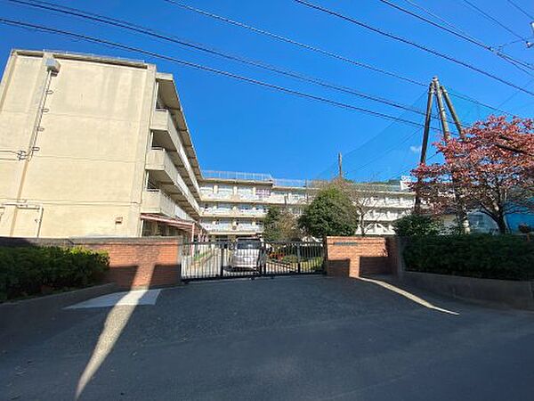 画像3:【中学校】松戸市立第六中学校まで917ｍ