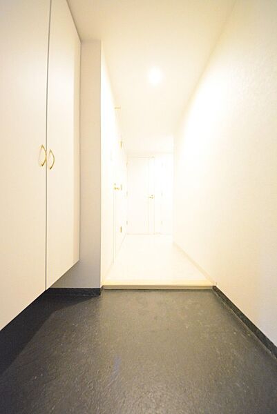 北海道札幌市豊平区平岸二条10丁目(賃貸マンション2LDK・3階・48.43㎡)の写真 その8