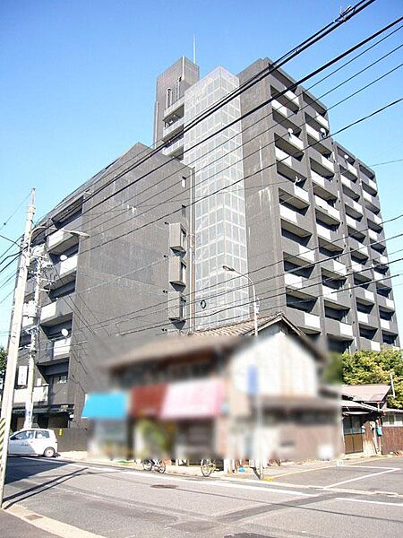 エクセレント米子 304｜鳥取県米子市万能町(賃貸マンション3LDK・3階・61.60㎡)の写真 その1