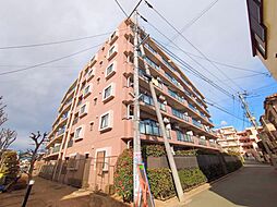 ナイスアーバン新川崎ステイツ