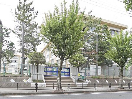 ■川崎市立鷺沼小学校