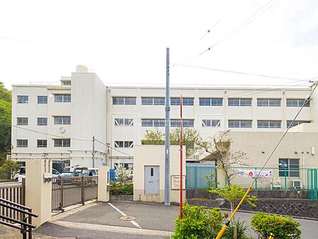【横浜市立西柴小学校】