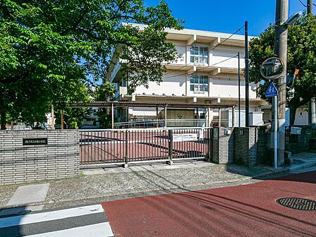 ■横浜市立白幡小学校…650m