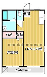 セイシェルハイム2 1LDKの間取図画像