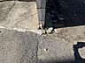 その他：南東側境界部分です。