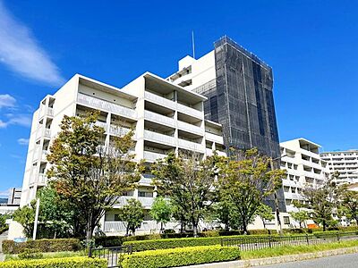 外観：RC造、12階建てのマンションです。周囲には緑もあり、都会の喧騒もない落ち着いた街並みが広がっております！