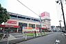 周辺：オリンピック　本羽田店 1656m