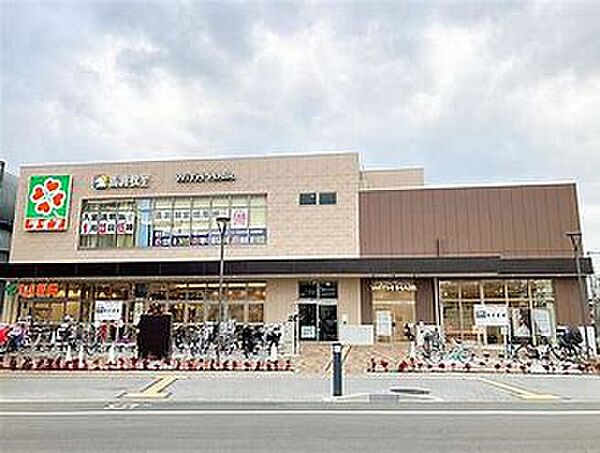 画像24:【スーパー】ライフ　阪神鳴尾店まで726ｍ