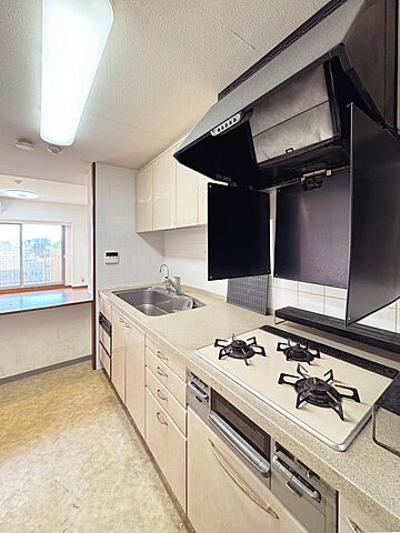 キッチン コスモ21ザ・ガーデンズフォート 10階/-