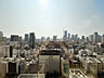 バルコニー：【眺望】高層階から望む都心のパノラマ。東京タワーを中心に高層ビル群が広がり、遮るもののない眺めが魅力。