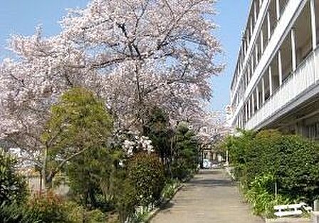 戸田市立喜沢小学校（453m）
