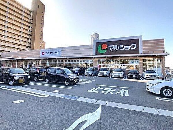 画像23:マルショク東駅店(520m)
