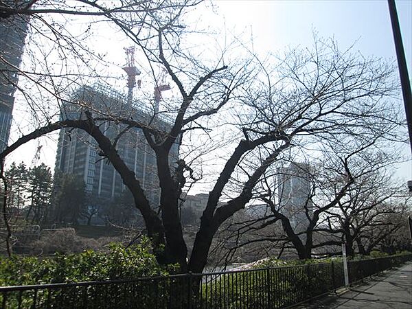 フェニックス飯田橋 214｜東京都文京区水道１丁目(賃貸マンション1K・2階・25.75㎡)の写真 その25