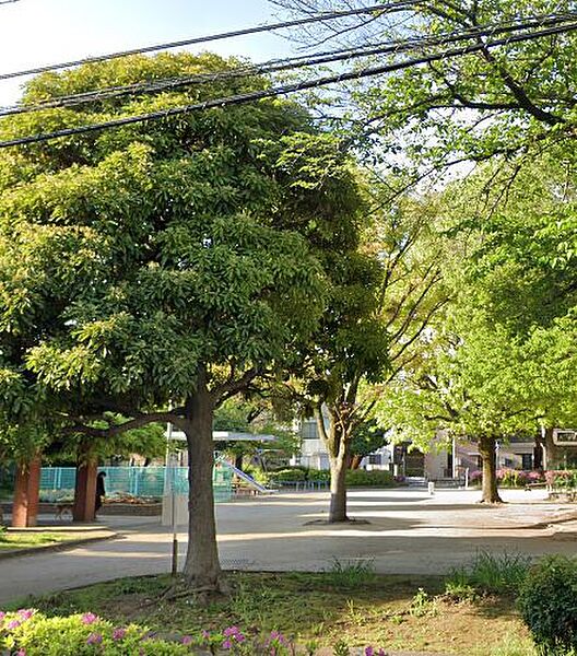 画像24:東向島北公園[450m]