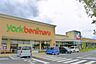 周辺：ヨークベニマル 石岡西店（423m）