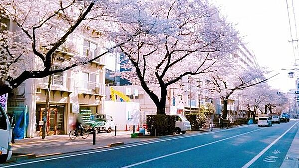 画像22:桜台駅(西武 池袋線) 徒歩10分。 780m