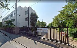 リブリ・フォレスタIII