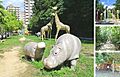 松が丘公園 1...