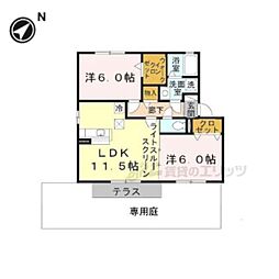 エバーグリーン