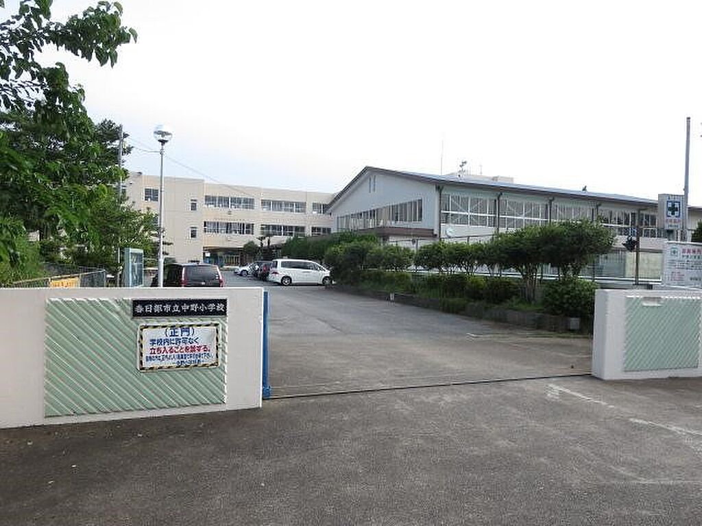 Image 375