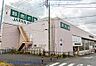 周辺：周辺環境-スーパー(550m)ジャパンミート卸売市場 春日部店