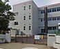 周辺：周辺環境-小学校(950m)柏市立花野井小学校
