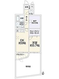 セザール円山公園 1SDKの間取図画像
