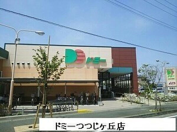 プリムローズ 401｜愛知県豊橋市佐藤2丁目(賃貸マンション1R・4階・30.98㎡)の写真 その17