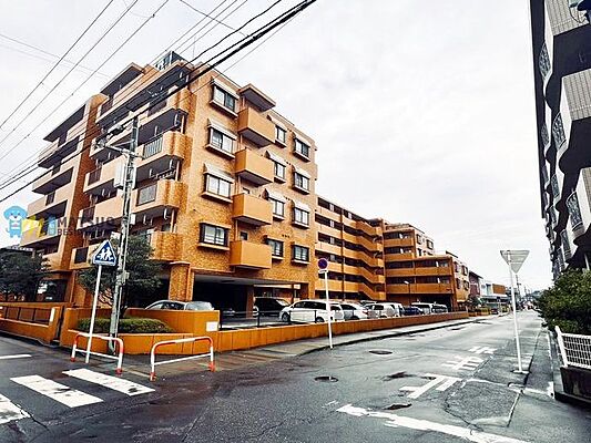 外観 ダイアパレス女池上山 3階/-