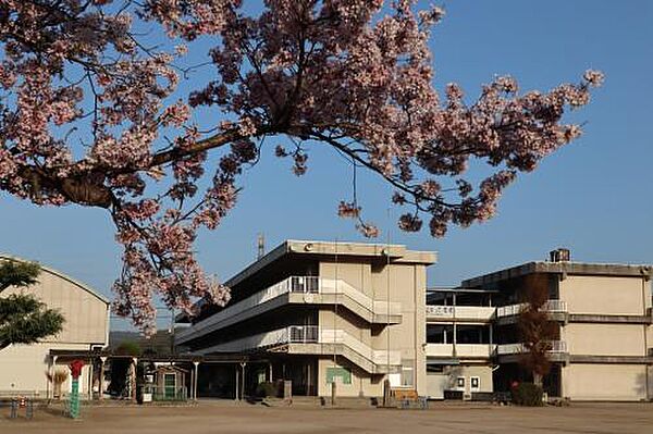 エディ 101｜岡山県井原市木之子町(賃貸アパート1LDK・1階・50.01㎡)の写真 その23