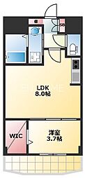 セレニテ谷町カルム 1LDKの間取図画像