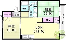 ネオアネックス 2LDKの間取図画像