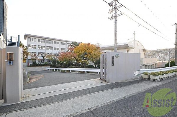 カーサイリーデ ｜兵庫県神戸市垂水区福田2丁目(賃貸マンション1K・2階・30.20㎡)の写真 その30