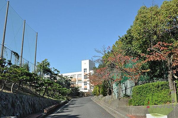 大門文化Ａ棟 ｜兵庫県神戸市須磨区妙法寺字大門(賃貸アパート2K・2階・27.00㎡)の写真 その27