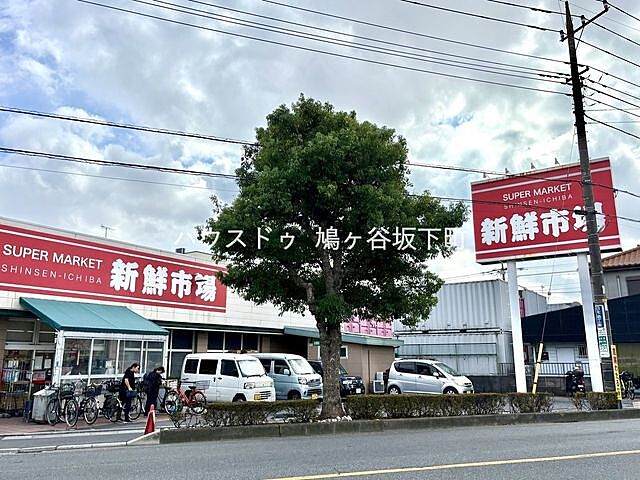 周辺 グリーンパーク鳩ヶ谷Ｂ棟 3階/-