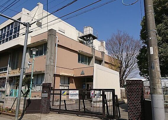 川口市立芝西小...