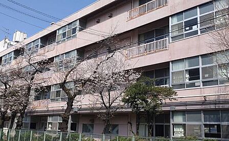 川口市立飯塚小学校 300m