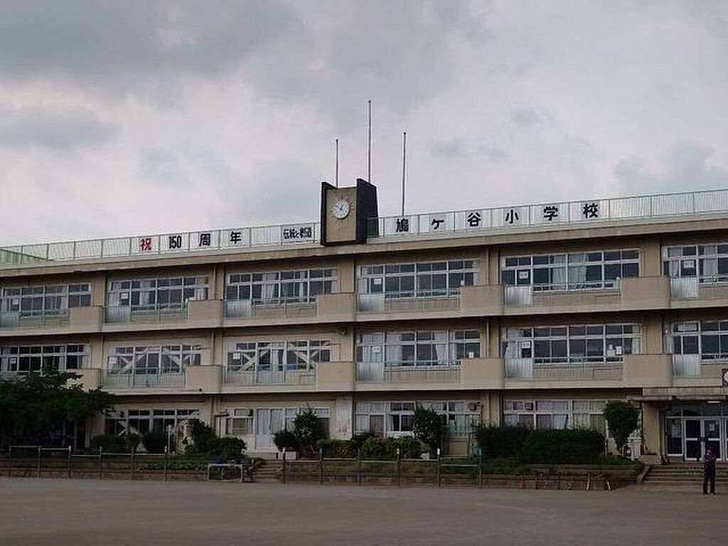 Image 10