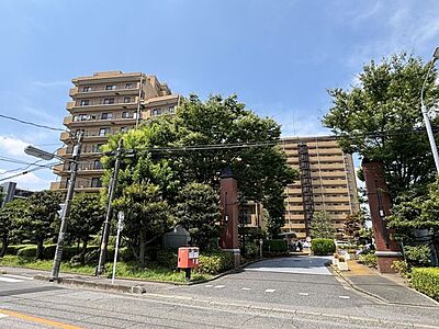 外観 外観