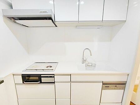 機能美とステータスを兼ね備えた最新のシステムキッチン!使い勝手を追求したデザインと洗練された質感が、暮らしの質を一段と高めてくれるプレミアムな調理空間!