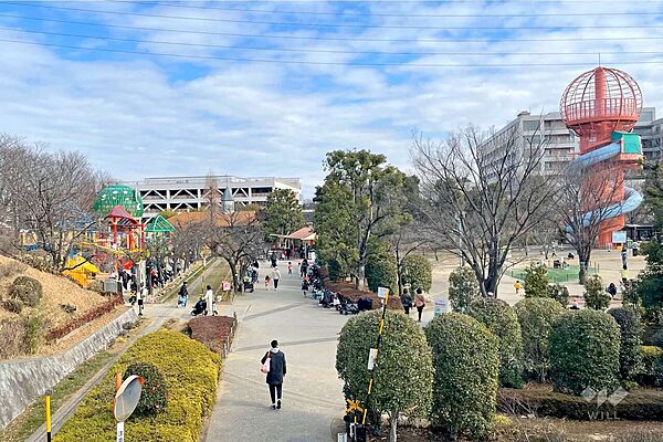 周辺を拡大表示