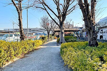 蓮根川緑道の外観