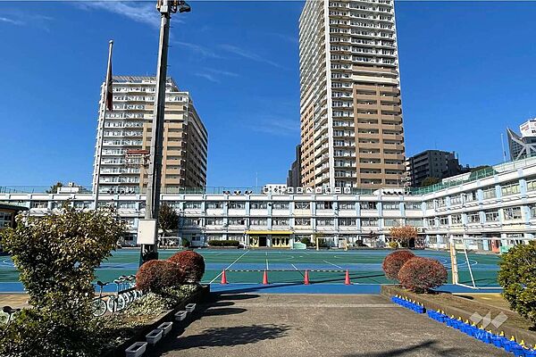 周辺を拡大表示