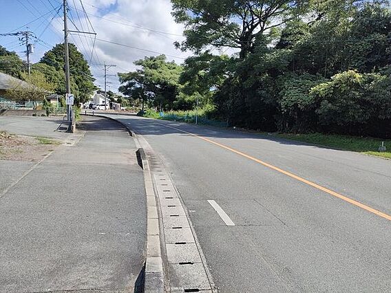 前面道路含む現...