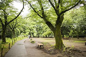 コーポ本橋 205 ｜ 東京都杉並区善福寺２丁目24-25（賃貸アパート1LDK・2階・37.12㎡） その18