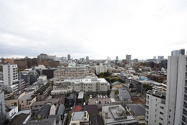 東京都港区南青山7丁目(賃貸マンション2LDK・14階・52.09㎡)の写真 その14