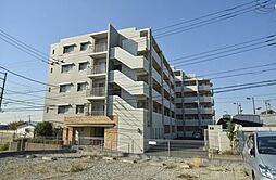 サンクレイドル湘南藤沢インシェナーレ