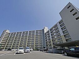 市ドリームハイツ3号棟